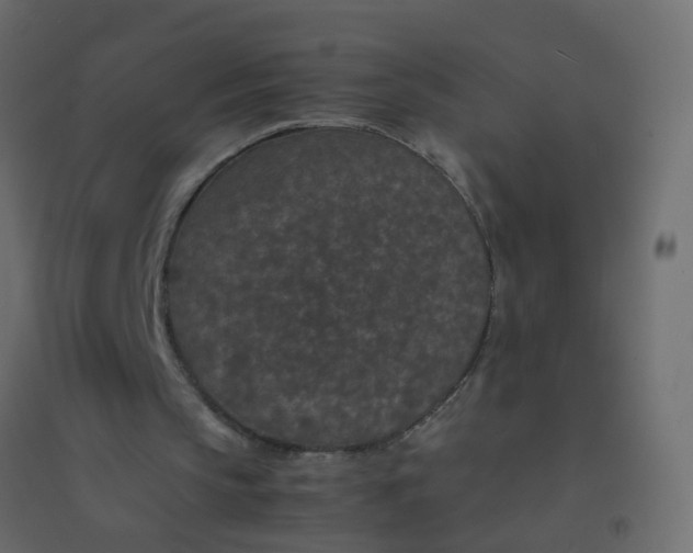 X0000094910145200712131500