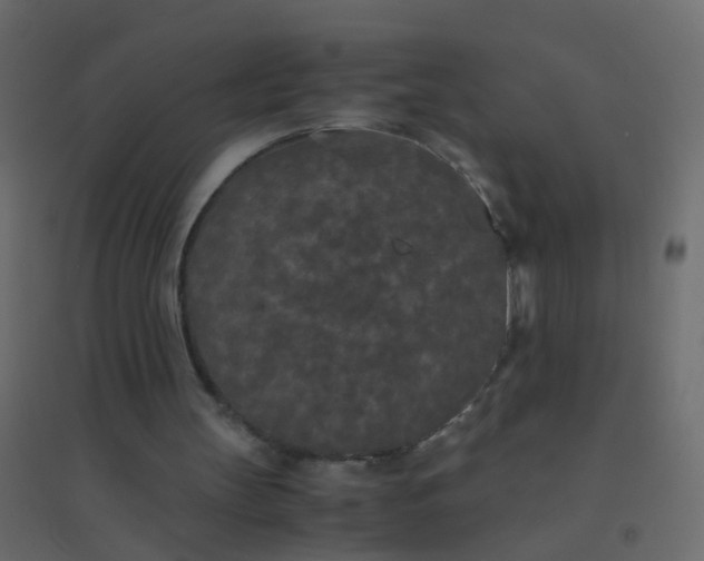 X0000094910147200712131500
