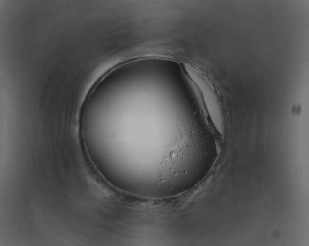 X0000094910148200712131500