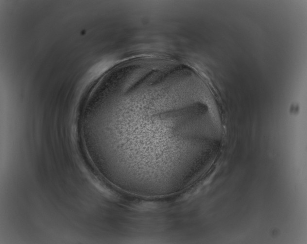 X0000094910149200712131500