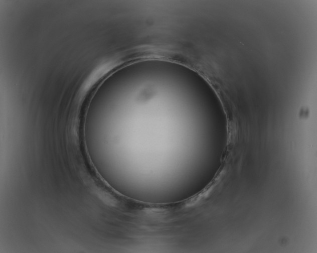 X0000094910150200712131500