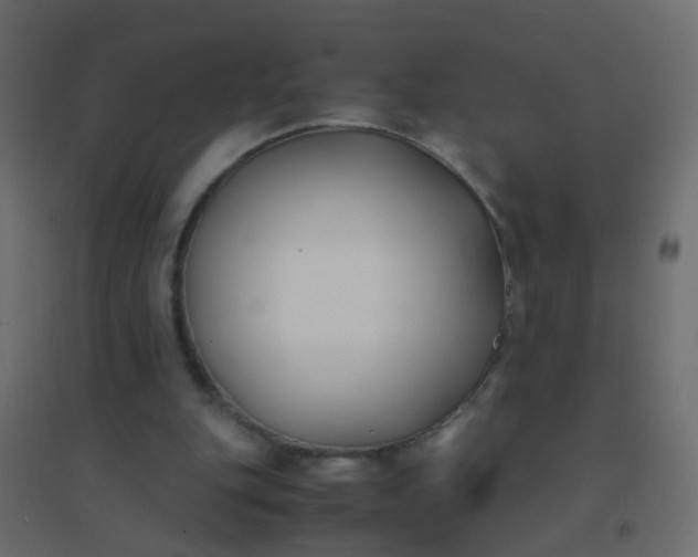 X0000094910151200712131500
