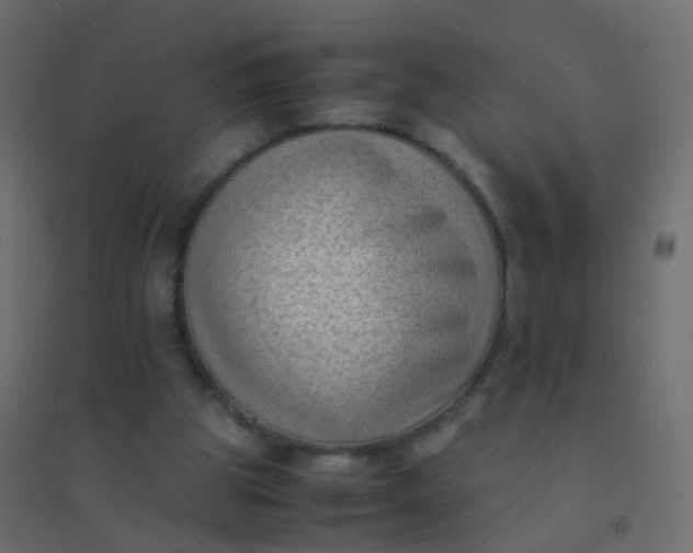X0000094910153200712131500