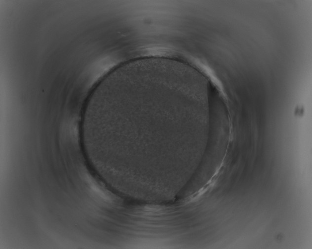 X0000094910154200712131500