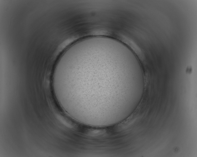 X0000094910155200712131500
