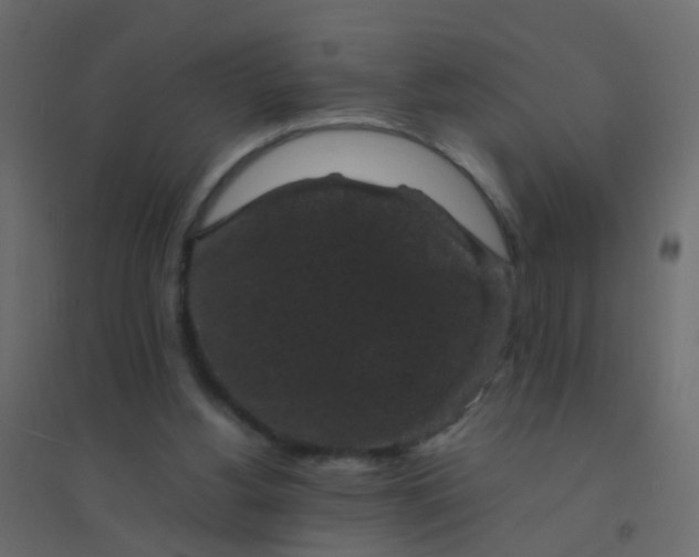 X0000094910156200712131500