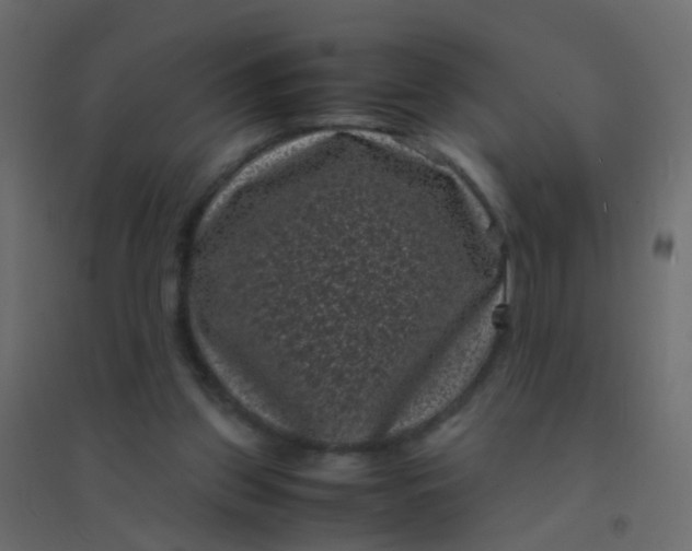 X0000094910157200712131500