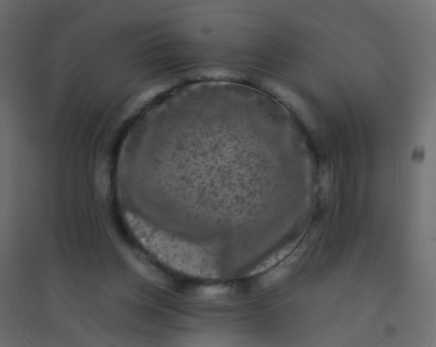X0000094910158200712131500