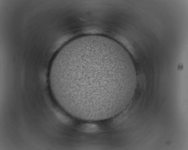 X0000094910159200712131500
