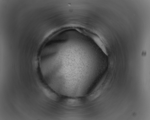 X0000094910160200712131500