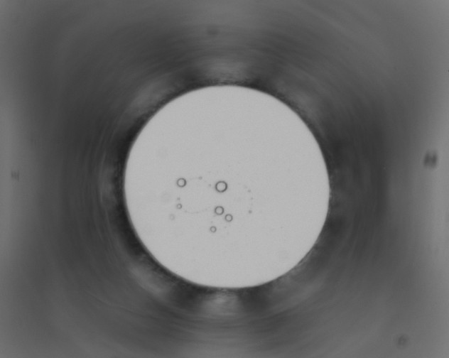 X0000094910162200712131500
