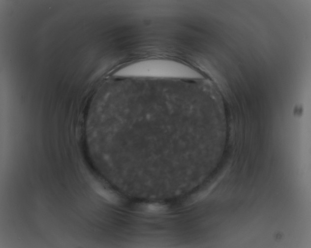 X0000094910165200712131500