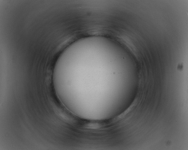 X0000094910171200712131500