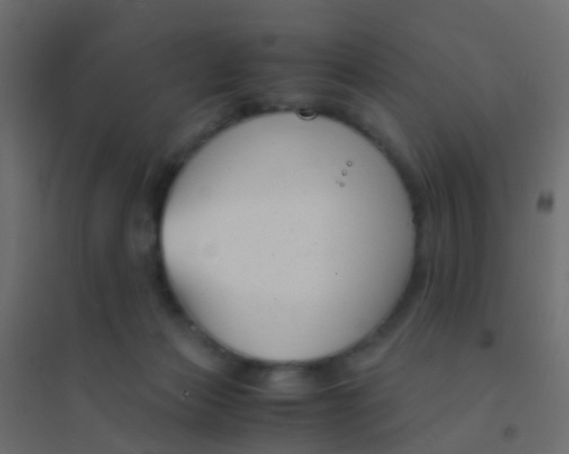 X0000094910173200712131500