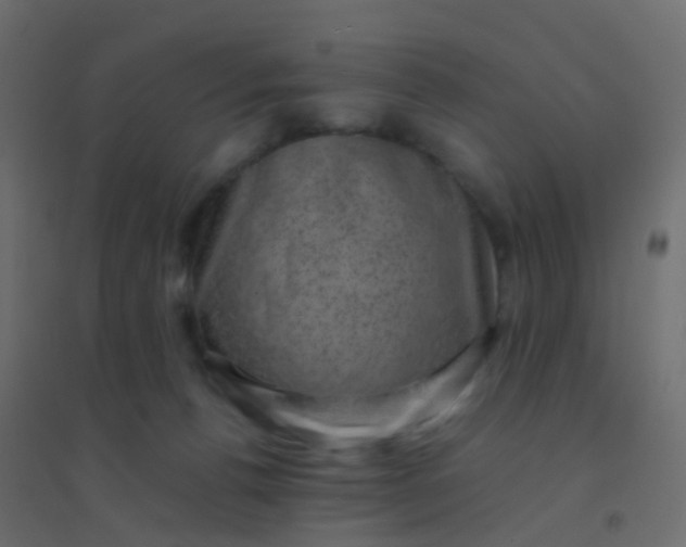 X0000094910176200712131501
