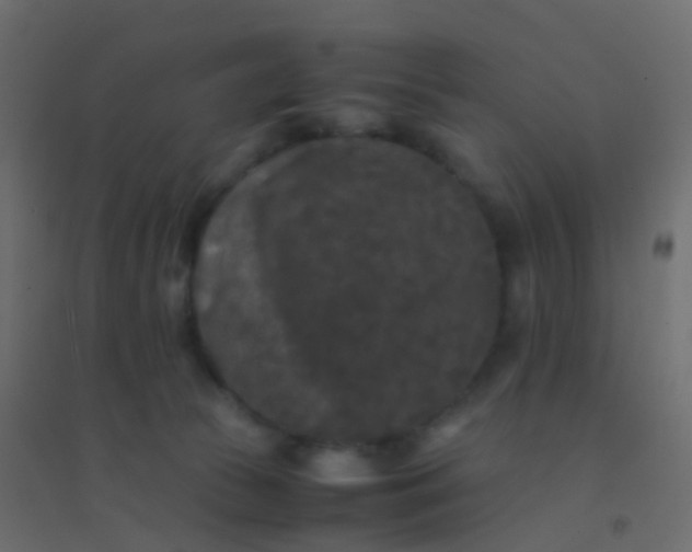 X0000094910177200712131501