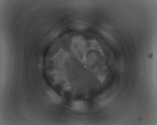 X0000094910181200712131501