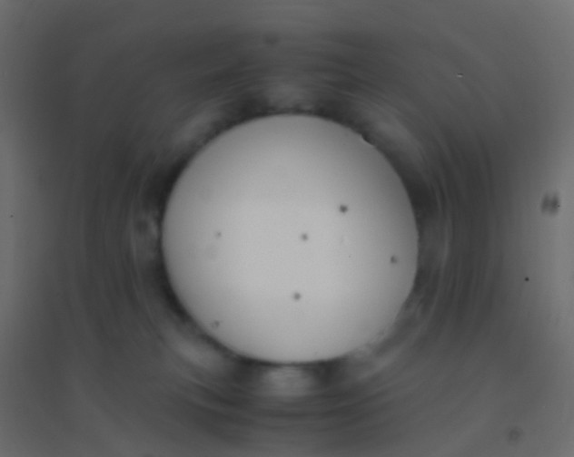 X0000094910183200712131501