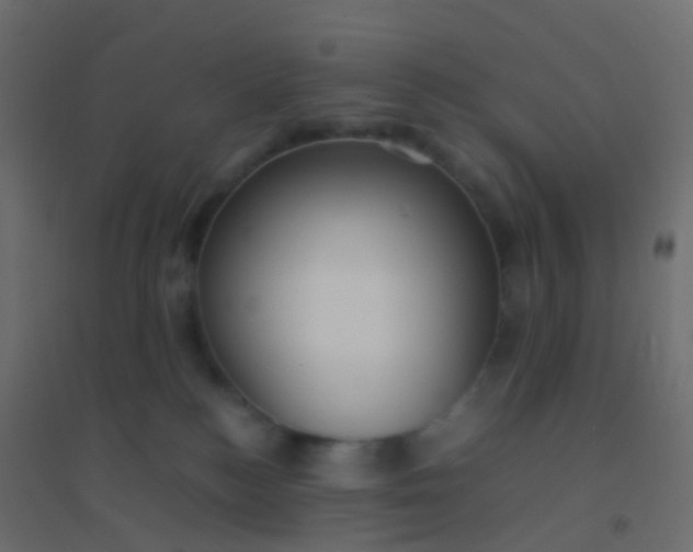 X0000094910184200712131501