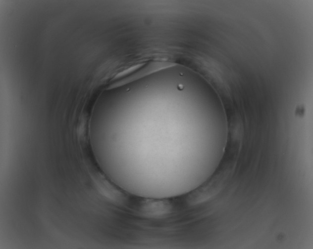 X0000094910185200712131501