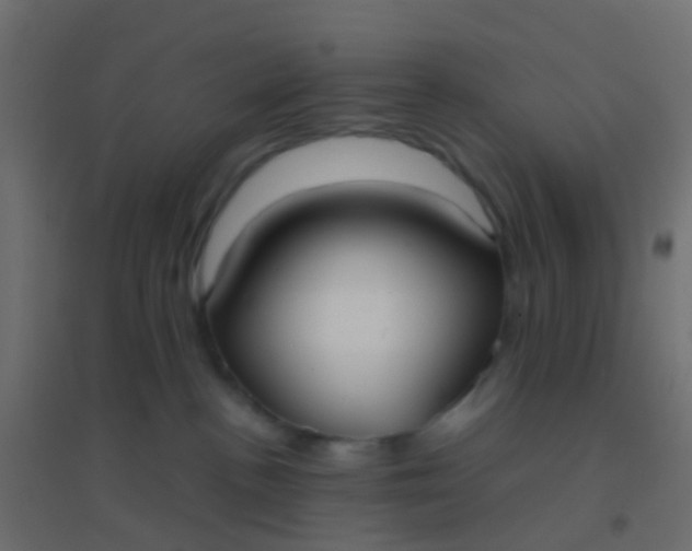 X0000094910188200712131501