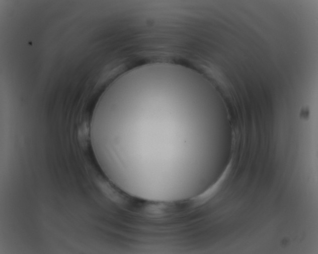 X0000094910190200712131501