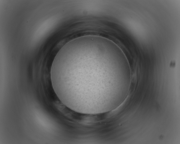 X0000094910191200712131501