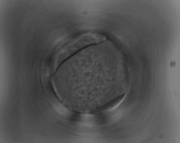 X0000094910192200712131501