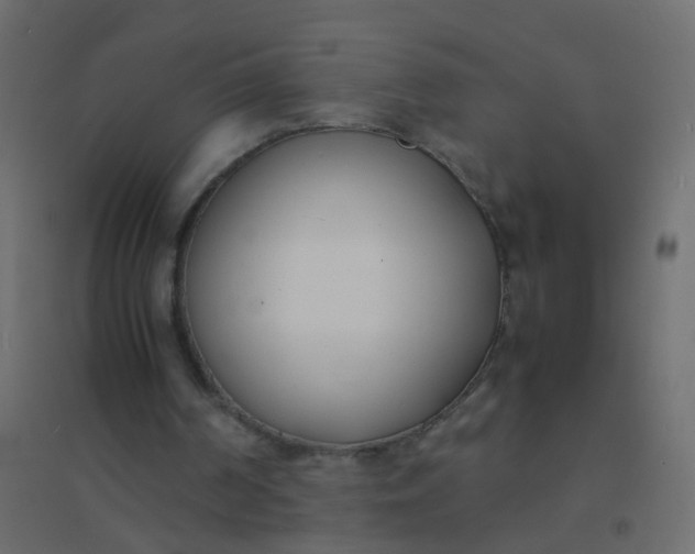 X0000094910194200712131500