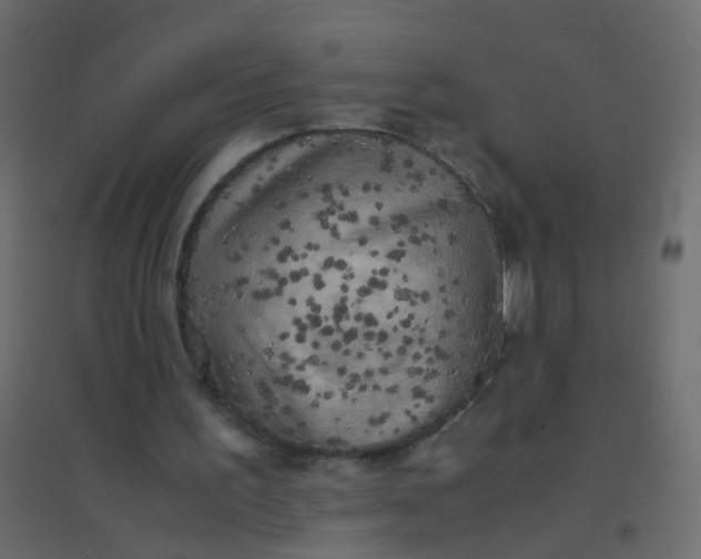 X0000094910195200712131500