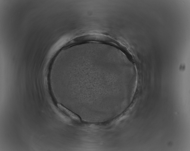 X0000094910197200712131500