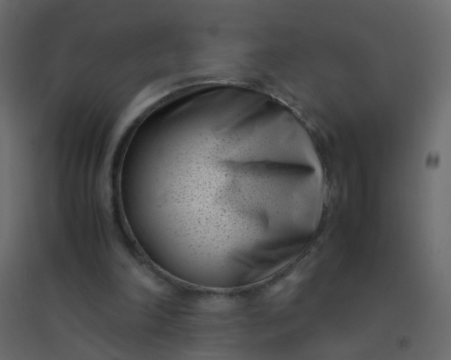 X0000094910198200712131500