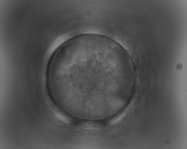 X0000094910199200712131500