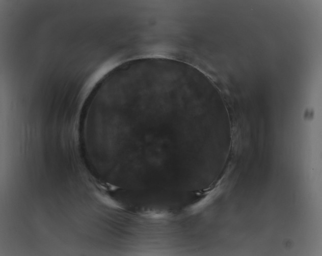 X0000094910200200712131500