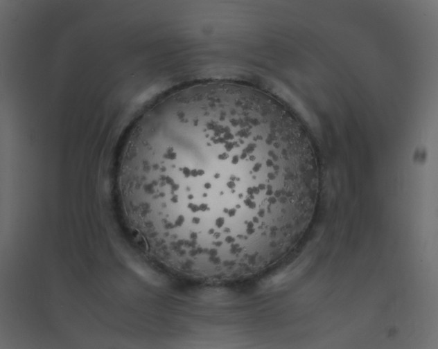 X0000094910203200712131500