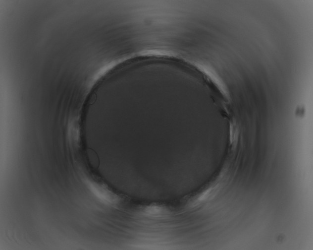X0000094910204200712131500