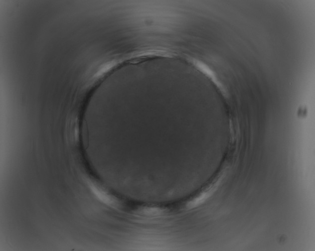 X0000094910205200712131500