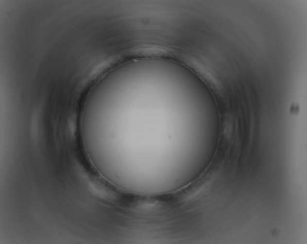 X0000094910206200712131500