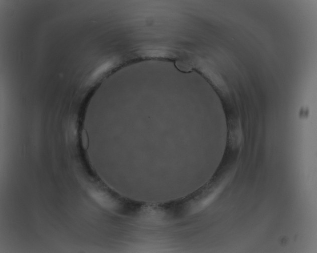 X0000094910207200712131500