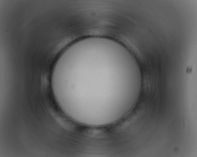 X0000094910208200712131500