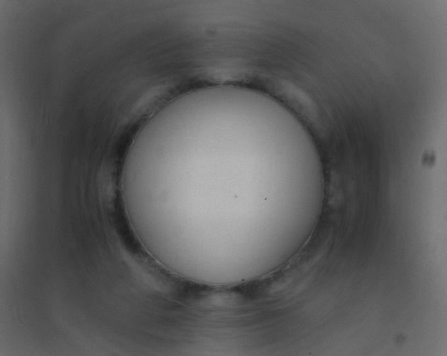 X0000094910210200712131500