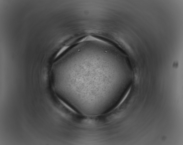 X0000094910211200712131500