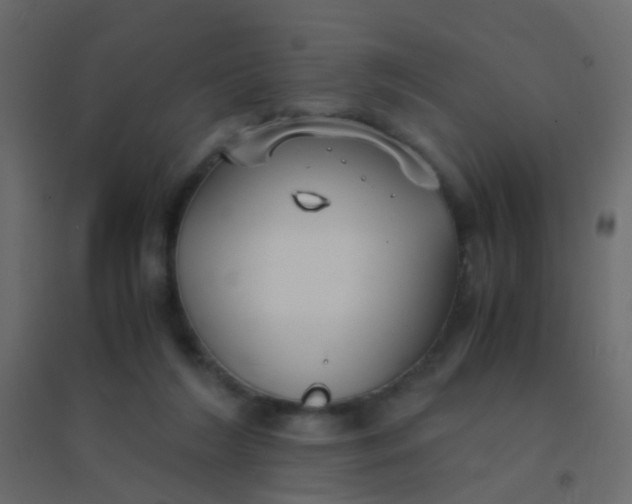 X0000094910212200712131500