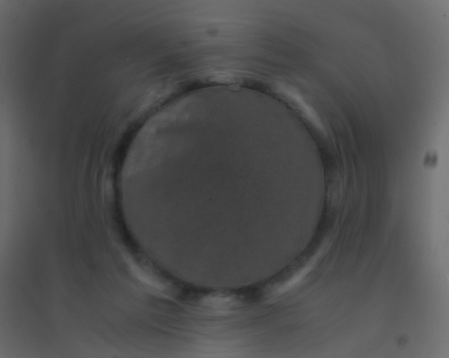 X0000094910213200712131500
