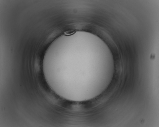 X0000094910216200712131500
