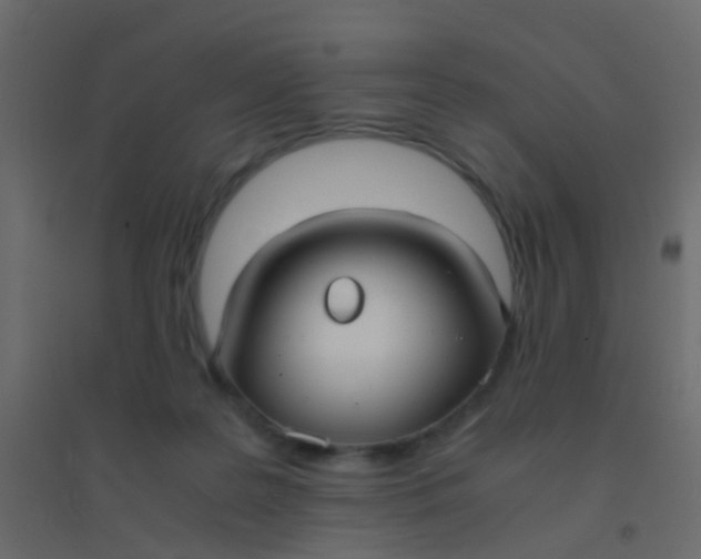 X0000094910219200712131500