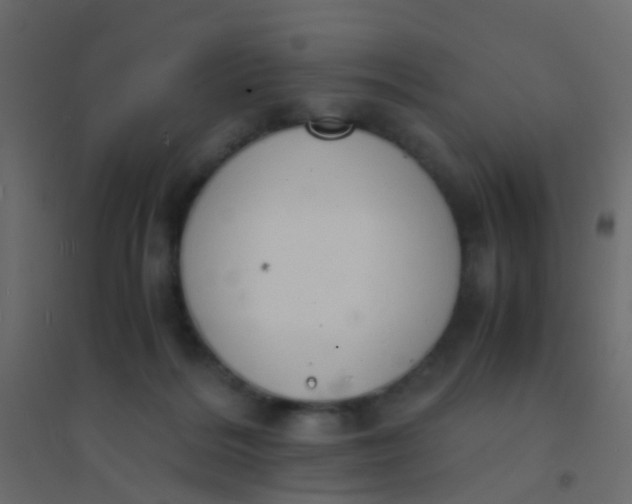 X0000094910220200712131500
