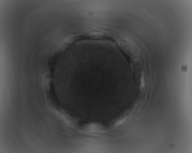 X0000094910223200712131500