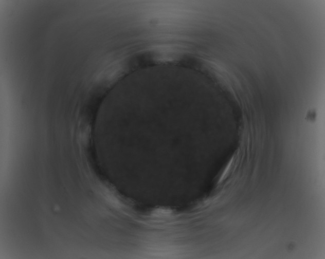 X0000094910227200712131500