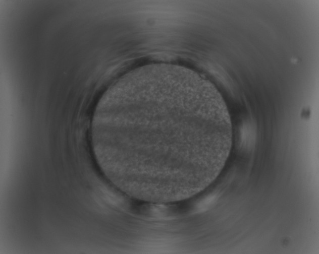 X0000094910229200712131500